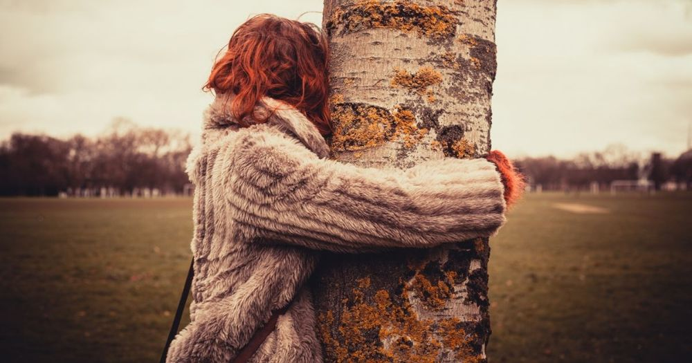 9 Unexpected Ways Hugging Trees Can Heal Your Body and Mind