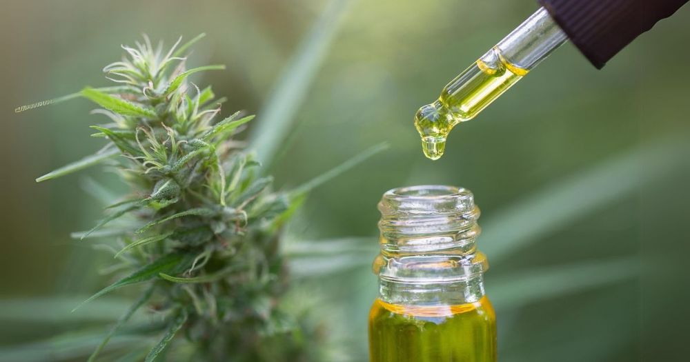 CBD Oil: Hype or Healing? The Truth About Its Powerful Benefits