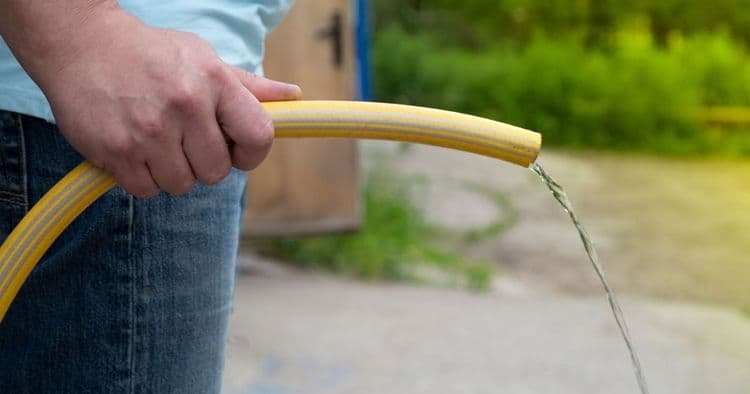 Proven Natural Remedies to Boost Prostate Health and Ease Discomfort