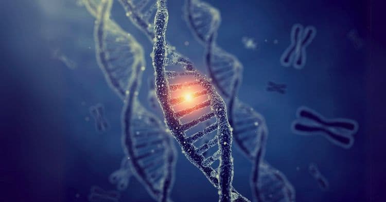 4 Eye-Opening Reasons Your Health Depends More on Habits Than Genetics