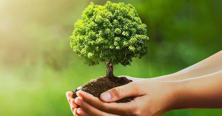 7 Simple Habits to Save the Planet and Boost Your Well-being