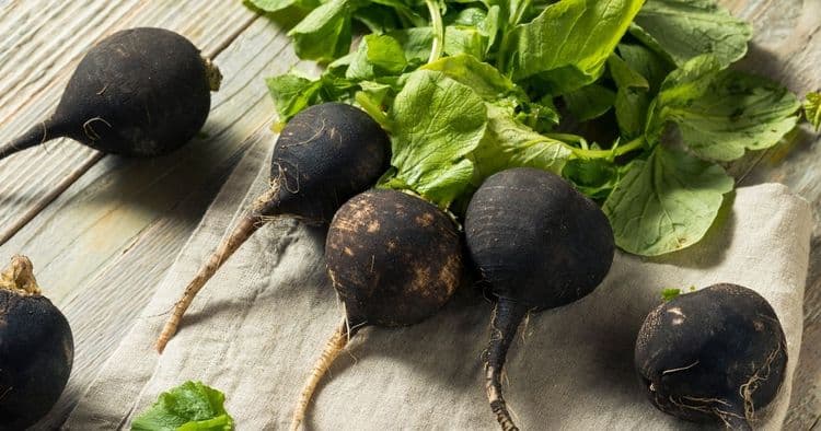 5 Amazing Benefits of Black Radish You Never Knew About