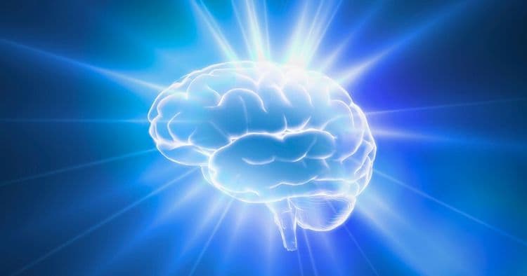 7 Essential Nutrients Your Brain Craves—and How to Harness Their Power for a Sharper Mind