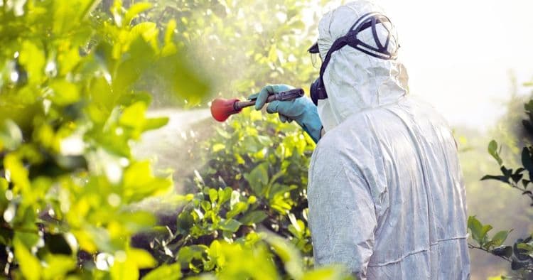 It’s Time to Stop Poisoning Our Food: 5 Steps Toward a Healthier Future