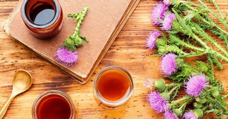 5 Herbal Remedies and Teas to Support Liver Health