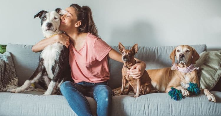 5 Benefits of Spending Time with Animals and Pets for Stress Relief