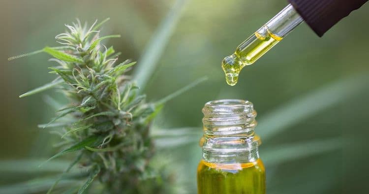 CBD Oil: Hype or Healing? The Truth About Its Powerful Benefits