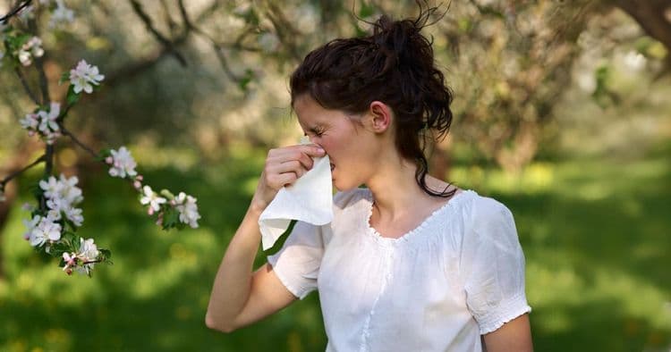7 Natural Remedies to Conquer Seasonal Allergies: Which One Will Work for You?