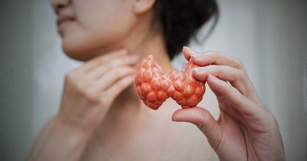 How Fluoride, Chlorine, and Bromine Displace the One Mineral Your Thyroid Needs