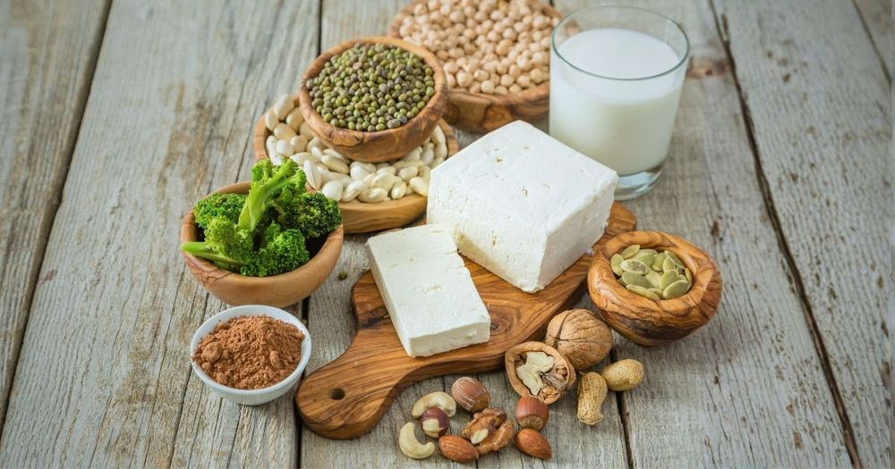 Why Plant Protein Delivers Less Than the Label Suggests