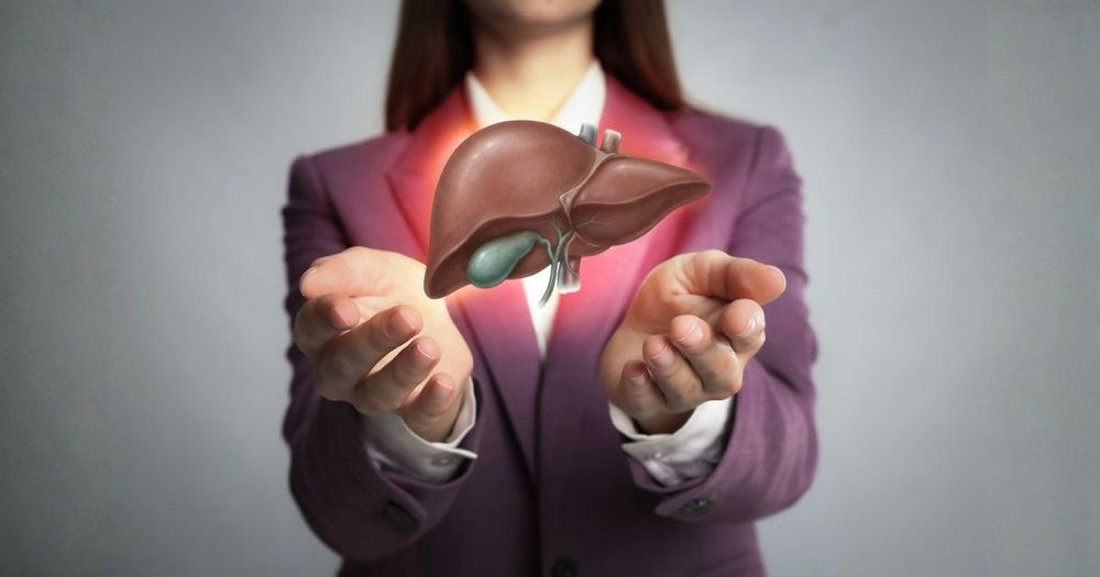 You Don't Detox Your Liver — Your Liver Detoxes You. The Question Is What Slows It Down